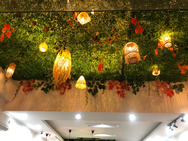 Tường cây lá giả