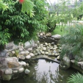 Đá trang trí nội ngoại thất