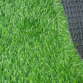 Cỏ nhân tạo 2 cm