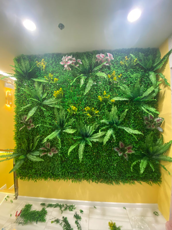 Tai chuột điểm cành