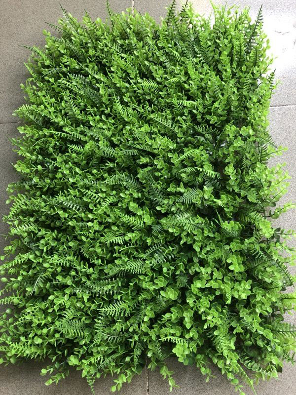 Tai chuột cỏ dương sỉ