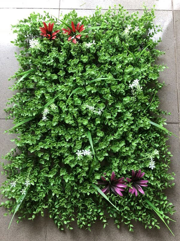 Tai Chuột Hoa Cỏ