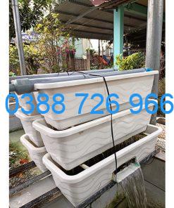 Bộ Baki trắng 3 tầng