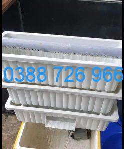 Bộ Baki trắng 3 tầng