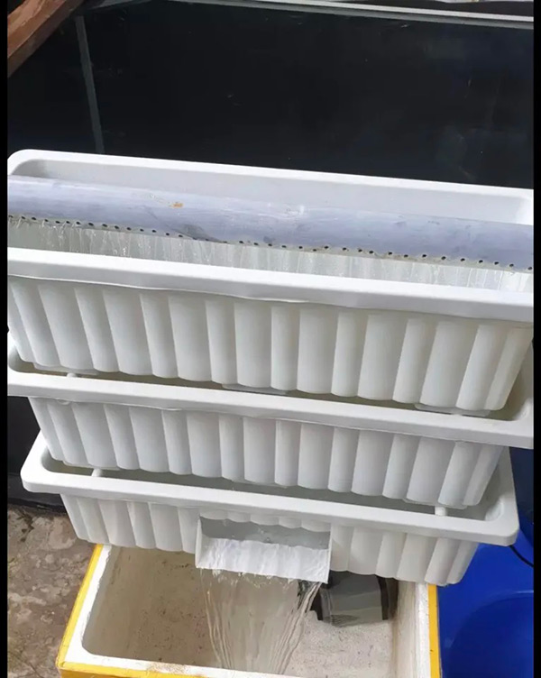 Bộ Baki trắng 3 tầng Bộ Baki trắng 3 tầng