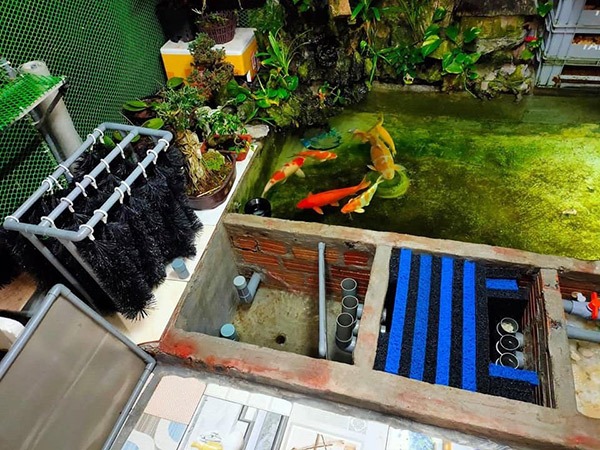 Chổi lọc hồ cá koi 120 cm