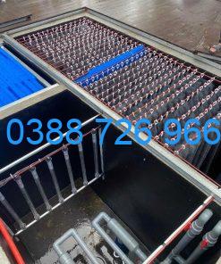 Chổi lọc hồ cá koi 120 cm