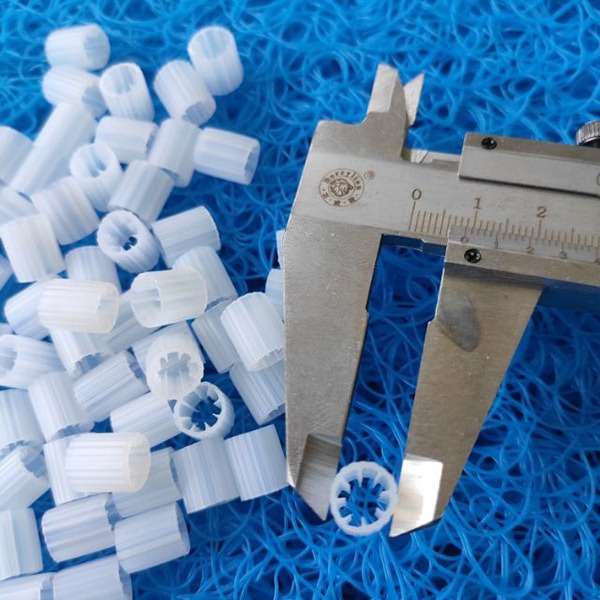 Hạt kaldnes lọc nước hồ koi Hạt kaldnes lọc nước hồ koi