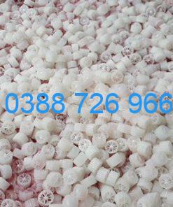 Hạt kaldnes lọc nước hồ koi