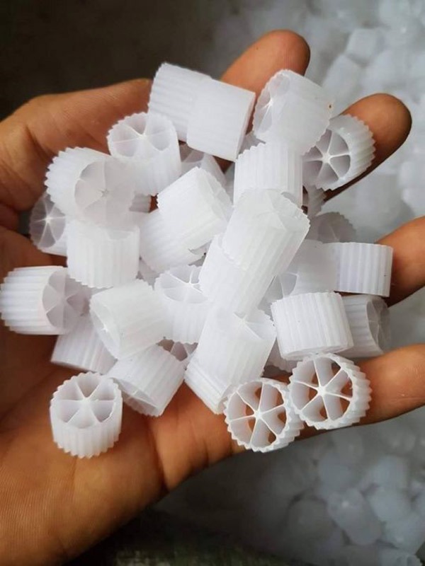 Hạt kaldnes lọc nước hồ koi Hạt kaldnes lọc nước hồ koi