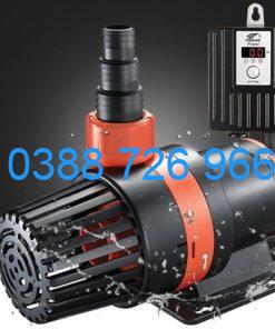 Máy bơm Periha Pb 5000