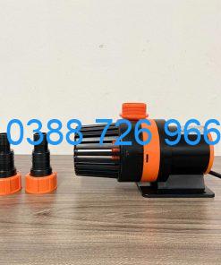 Máy bơm Periha Pb 5000