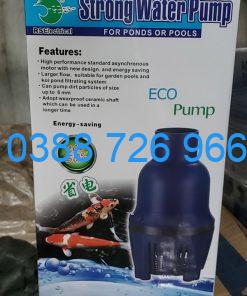 Máy Bơm tạt Strong Water RS 16500lit