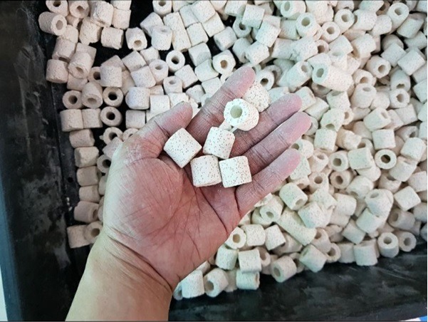 Sứ nhẫn trắng Sứ nhẫn trắng