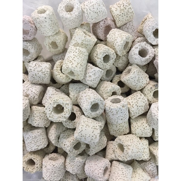 Sứ nhẫn trắng Sứ nhẫn trắng