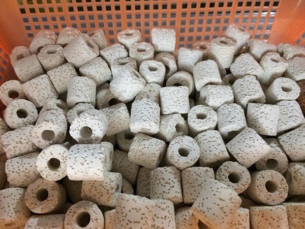 Sứ nhẫn trắng Sứ nhẫn trắng