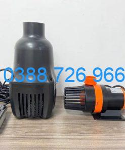 Bơm tạt hồ cá koi Periha PG 20