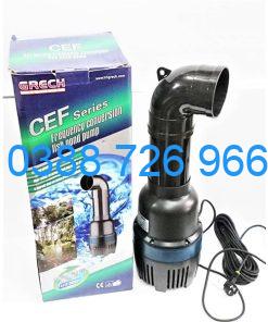 Máy bơm tạt SunSun CEF 30000