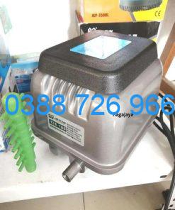 Máy sục khí Sunsun HJB 100