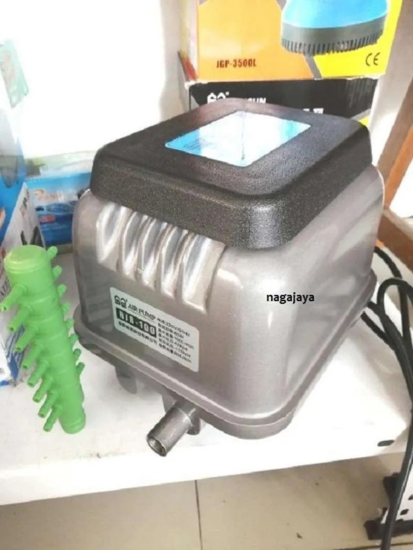 Máy sục khí Sunsun HJB 100 Máy sục khí Sunsun HJB 100