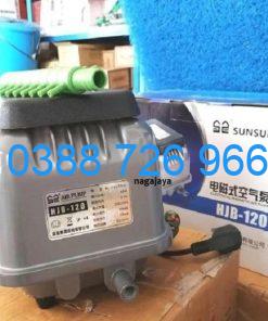 Máy sục khí Sunsun HJB 120
