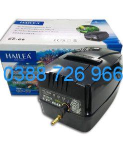 Máy sủi oxy Hailea CP60
