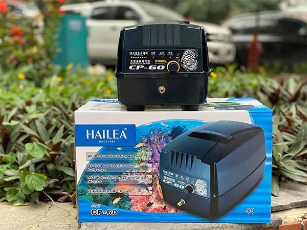 Máy sủi oxy Hailea CP60 Máy sủi oxy Hailea CP60