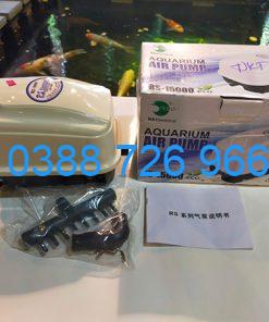 Máy Sủi oxy RS 15000