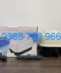 Máy Sủi oxy RS 16000 70lit/phút tiết kiệm điện