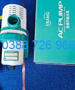 Máy Bơm EBang EB G2000