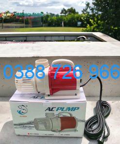 Máy Bơm Enjoy Royal AC PUMP 6000