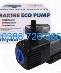 Máy bơm Jecod DT 7000