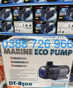 Máy bơm Jecod DT 8500