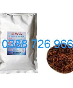 Vi sinh xử lý đáy SWA–P