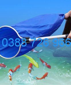 Vợt Giữ Nước hay Vợt Tất