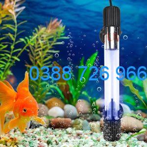 Đèn UV: Giải pháp tối ưu cho hồ cá koi