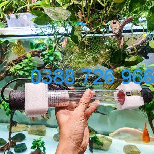 Đèn UV: Giải pháp tối ưu cho hồ cá koi