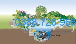 Hệ thống lọc nước bể cá ngoài trời