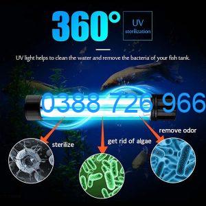 bật đèn UV cho bể cá là tốt nhất