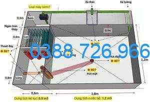 Chọn Bộ Lọc Hồ Cá Koi Phù Hợp