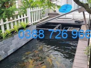 Chọn Bộ Lọc Hồ Cá Koi Phù Hợp