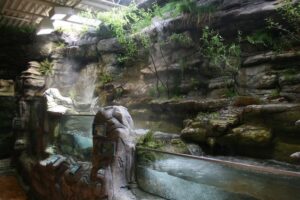 Thi công hồ cá koi chuyên nghiệp tại Long An