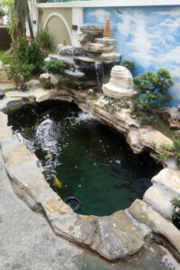 Báo Giá Xây Hồ Cá Koi 2 Khối Trọn Gói