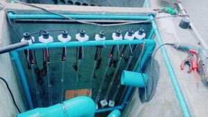 Cách lắp đặt đèn UV cho hồ cá koi hiệu quả nhất