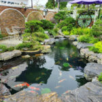 Chi phí xây hồ cá Koi 200 khối là bao nhiêu