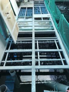 Để Đèn UV Ở Ngăn Nào